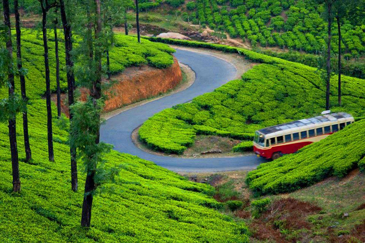 places to visit while travelling from kochi to munnar